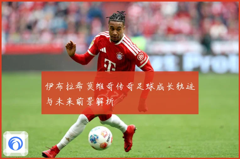 伊布拉希莫维奇传奇足球成长轨迹与未来前景解析